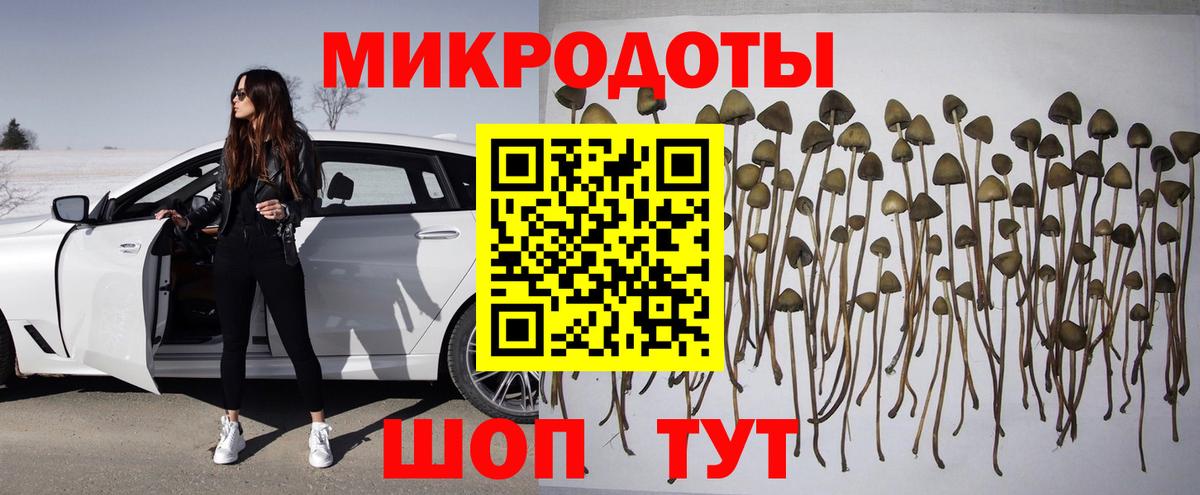 Псилоцибиновые грибы Cubensis Бахчисарай